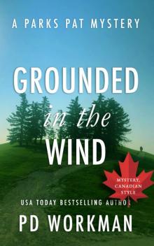 Grounded in the Wind