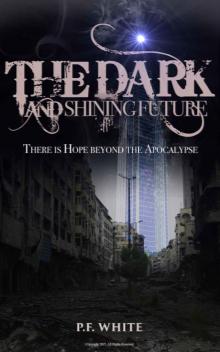 The Dark and Shining Future The Dark and Shining Future