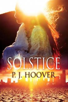 Solstice Solstice