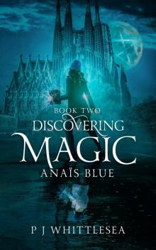 Discovering Magic