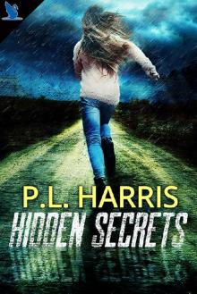 Hidden Secrets Hidden Secrets