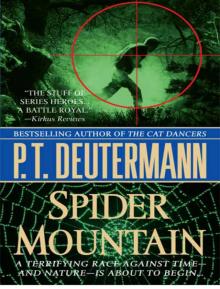 SPIDER MOUNTAIN SPIDER MOUNTAIN
