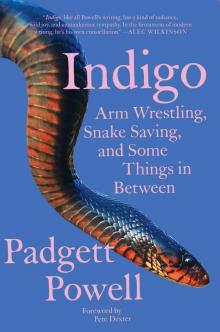 Indigo Indigo