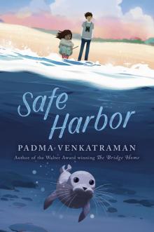 Safe Harbor Safe Harbor