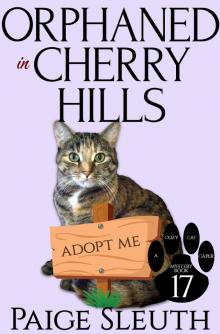 Orphaned in Cherry Hills Orphaned in Cherry Hills