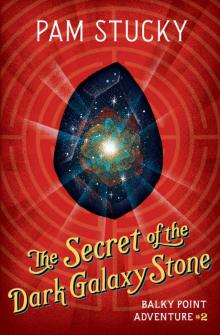 The Secret of the Dark Galaxy Stone (Balky Point Adventures Book 2)