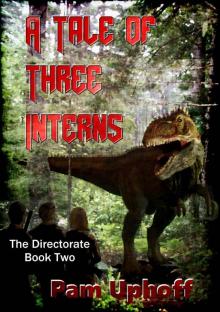 A Tale of Three Interns (The Directorate Book 2)