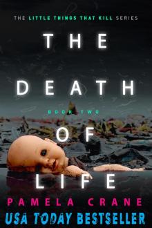 The Death of Life (The Little Things That Kill Series, #2)