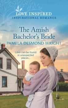 The Amish Bachelor's Bride The Amish Bachelor's Bride