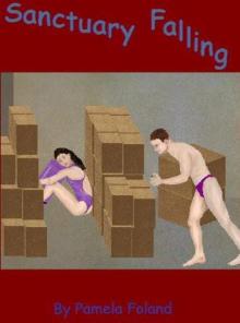Sanctuary Falling Sanctuary Falling