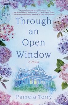 Through an Open Window Through an Open Window