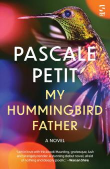 My Hummingbird Father My Hummingbird Father