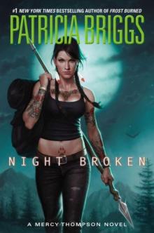 Mercy Thompson 8: Night Broken Mercy Thompson 8: Night Broken