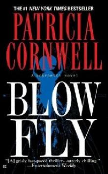 Blow Fly ks-12 Blow Fly ks-12