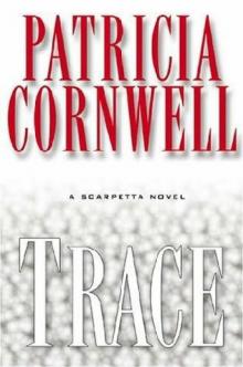Trace ks-13 Trace ks-13
