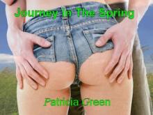 Journey in the Spring