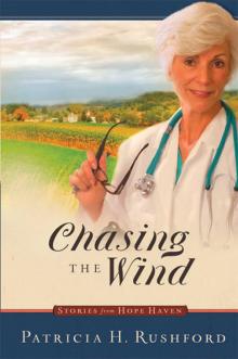 Chasing the Wind Chasing the Wind