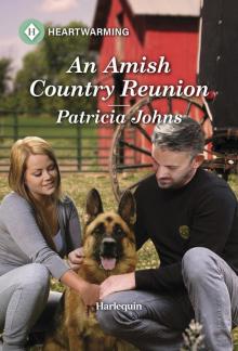 An Amish Country Reunion An Amish Country Reunion