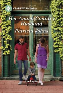 Her Amish Country Husband