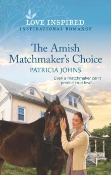 The Amish Matchmaker's Choice
