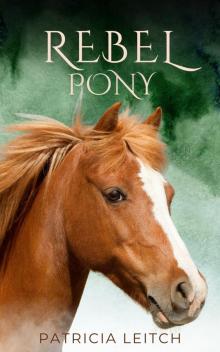 Rebel Pony