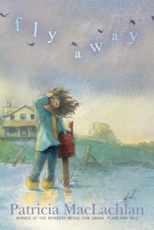 Fly Away Fly Away