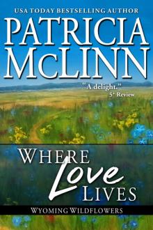 Where Love Lives Where Love Lives