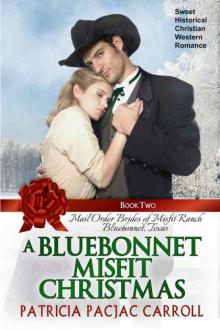 A Bluebonnet Misfit Christmas