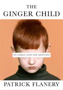 The Ginger Child The Ginger Child