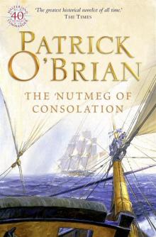 Book 14 - The Nutmeg Of Consolation Book 14 - The Nutmeg Of Consolation