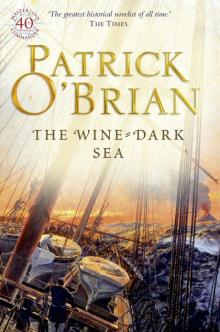 Book 16 - The Wine-Dark Sea Book 16 - The Wine-Dark Sea