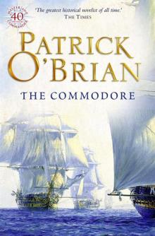 Book 17 - The Commodore Book 17 - The Commodore