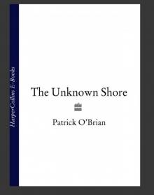 The Unknown Shore