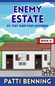 sit stay sleep 16 - enemy state