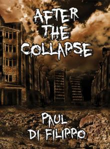 After the Collapse After the Collapse