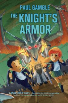 The Knight's Armor The Knight's Armor