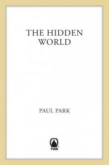 The Hidden World (A Princess of Roumania)