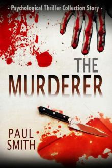 The Murderer: A gripping psychological thriller with a shocking twist The Murderer: A gripping psychological thriller with a shocking twist