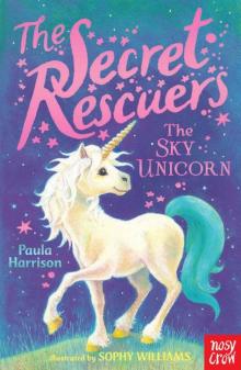 Secret Rescuers