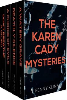 The Karen Cady Mysteries