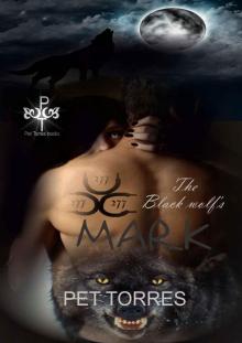 The black wolf's mark (The black wolf's mark ,#1)