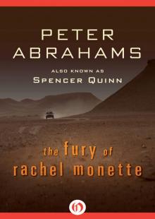 The Fury of Rachel Monette The Fury of Rachel Monette
