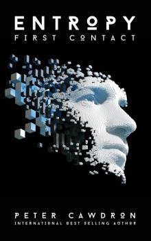Entropy (First Contact)