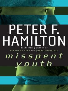 Misspent Youth (commonwealth saga)