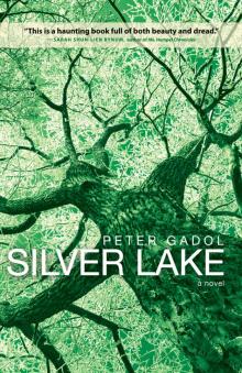 Silver Lake Silver Lake