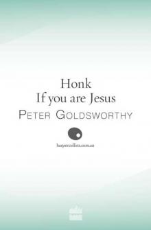 Honk If You Are Jesus