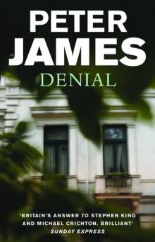 (1998) Denial (1998) Denial