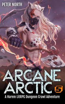 Arcane Arctic 5: A Harem LitRPG Dungeon Crawl Adventure