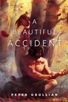 A Beautiful Accident A Beautiful Accident