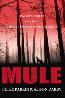 MULE MULE